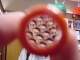 DSC00014.JPG