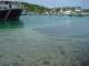 DSC00085.JPG