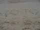 DSC00139.JPG