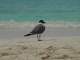 DSC00142.JPG