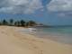 DSC00198.JPG