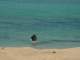 DSC00209.JPG