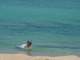 DSC00210.JPG