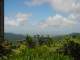 DSC00335.JPG
